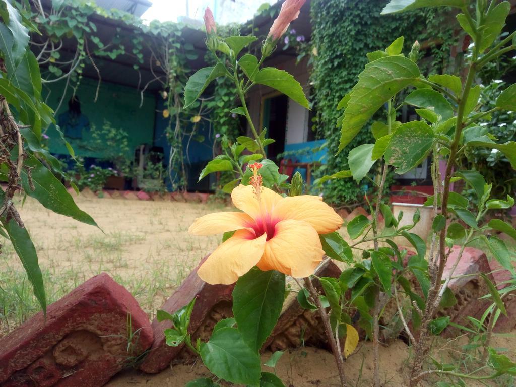 Rk Guest House Pushkar Bagian luar foto